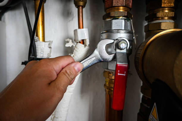 Best Same-Day Plumbing Service  in Friendswood, TX